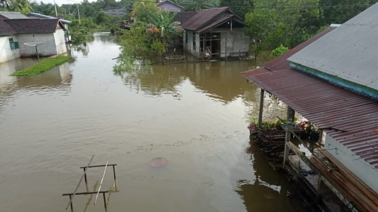 Sumber: Dokumentasi wargaKampung Kelabit, Dusun Setontong, Desa Kualan Hilir